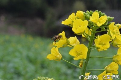 走着走着，我明白了……