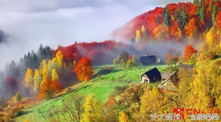 最经典的《明年明月》经典名句大全