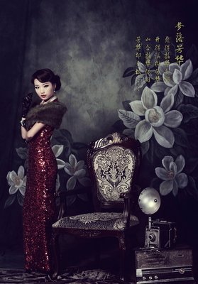 最全的《梦落芳华》经典句子