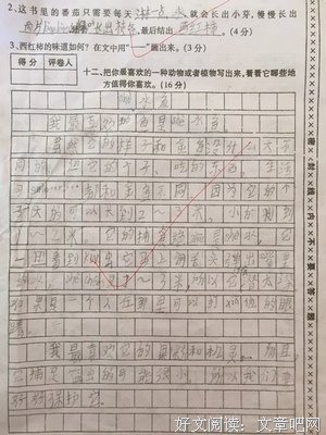关于王八的语句