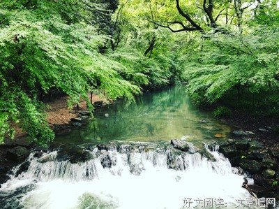 关于意料之中的格言