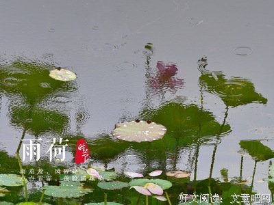 大珠小珠落玉盘的语句摘抄_关于大珠小珠落玉盘的语句