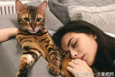 为爱 上他走看入时子 为你 所把能路在以披靡的句子