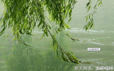 关于心悸的优美句子