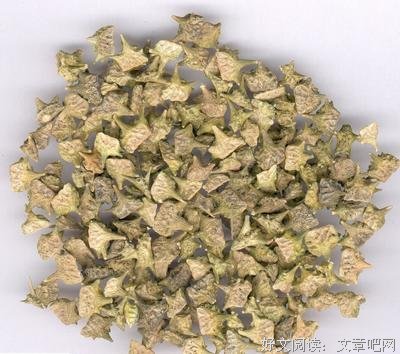 蒺藜句子大全