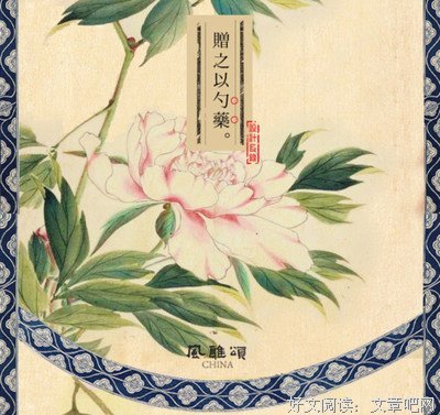 有关殇的句子