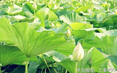 最全的韩墨染经典句子