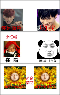 黄子韬名言大全