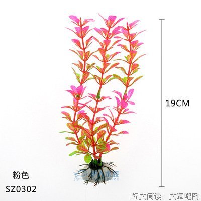 有关伊人睽睽名言大全
