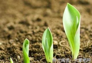 最经典的《游戏杂谈》语录摘抄