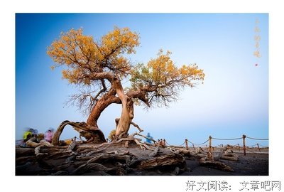 最经典的《灵魂不死》经典的句子