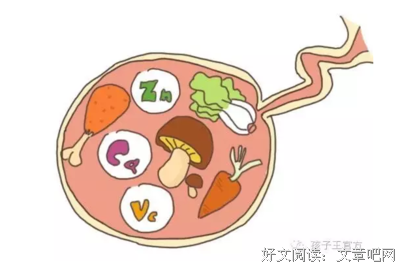 最经典的《猫的摇篮》小说摘抄