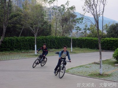 最全的《追风少年》好段摘抄