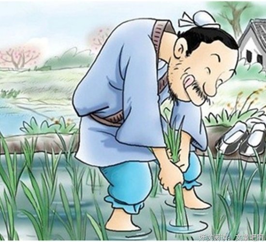 关于拔苗助长名言名句