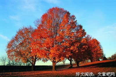 格言经典的句子
