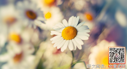 。。经典的句子