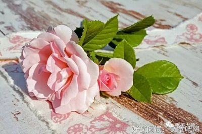 信人别信嘴，交人要交心