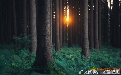 关于123的优美句子