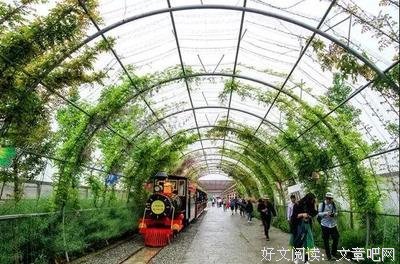 最经典的阿辞姑娘名言大全