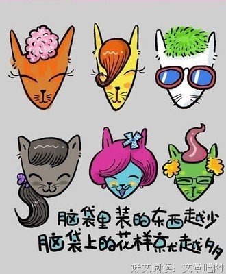 有关猫语猫寻的名言