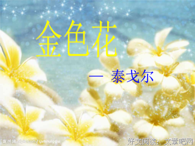 秋叶一雨经典语录