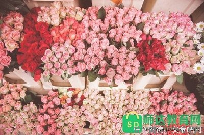 最新的《人生的智慧》小说句子大全