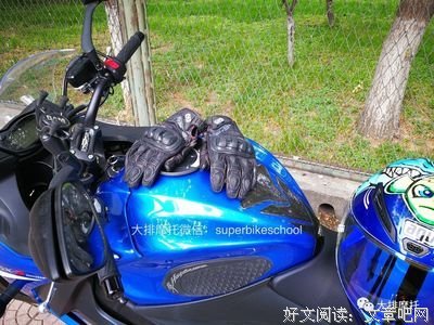 最经典的《倾心不怕晚》经典句子大全