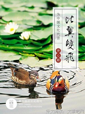 最好的爱情，是互相成全