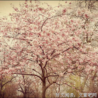 最经典的《孤独小说家》小说书摘
