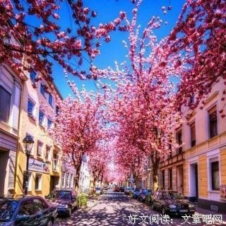 最全的《孤芳不自赏》语录摘抄大全