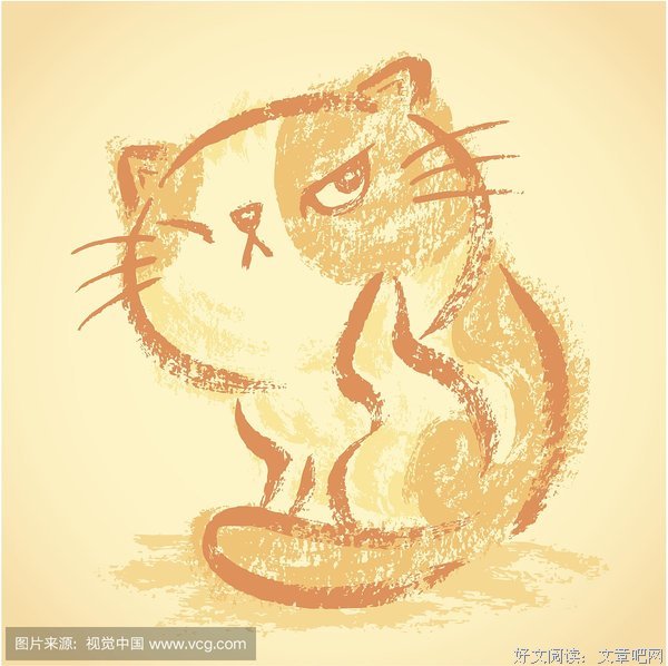 无耻的猫