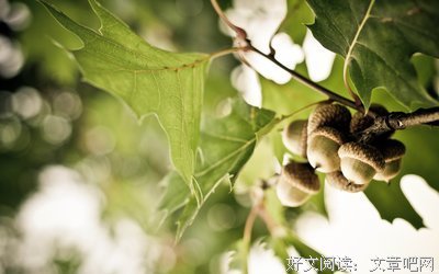 《恋恋中国风》语录摘抄大全
