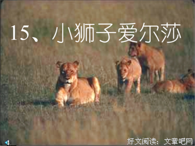 最经典的《恋爱的犀牛》经典的句子大全