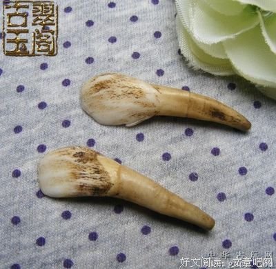 《我是特种兵》经典语录大全
