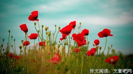我的孤独，的句子
