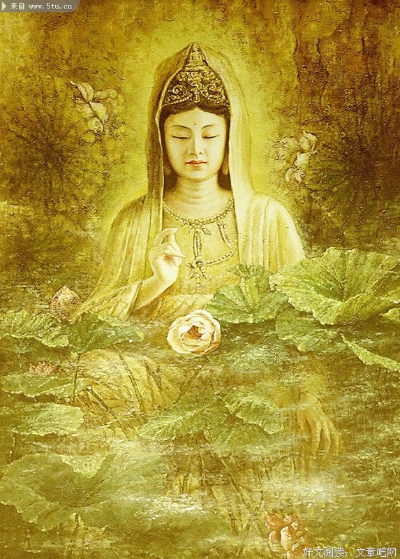 《一叶一菩提》的句子