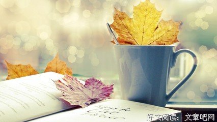 关于每天记一点的句子