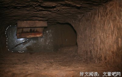 稻米，盗墓经典的句子