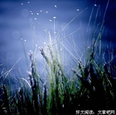 最经典的青山七惠的名言