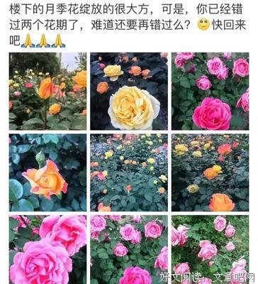 马航搜救队宣布解散：今生很抱歉，来世我们再相见。