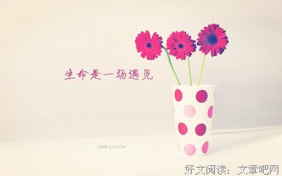 最全的《美丽新世界》语录摘抄
