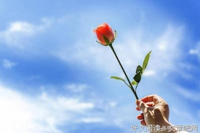 最经典的《肥鸟当自强》经典名句