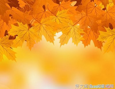 《蚁族的奋斗》语录摘抄
