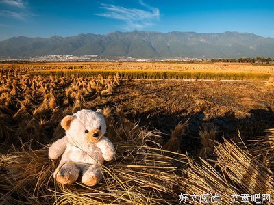 最新的《麦田守望者》好段摘抄