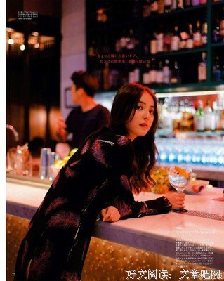 《龙图案卷集》经典的句子大全