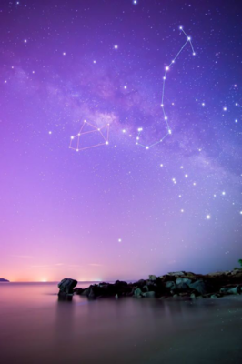 最经典的《星星上的花2》经典语句