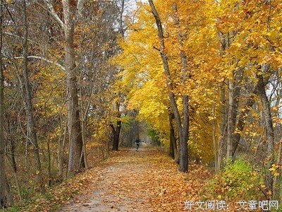 最全的《反派白化光环》经典名句