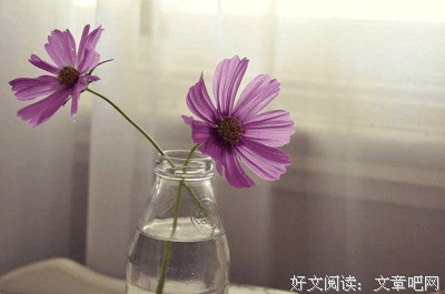 最全的《灰色的彼得潘》经典语录