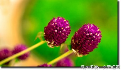 最经典的《重生之大涅磐》经典的句子