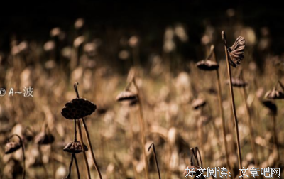 最全的《人生若只如初见》经典语录